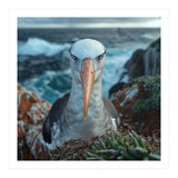 Black Browed Albatross Perched On Nest Near Ocean (Print Only) thumbnail