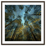Enchanted Night Forest with Glowing Fireflies thumbnail