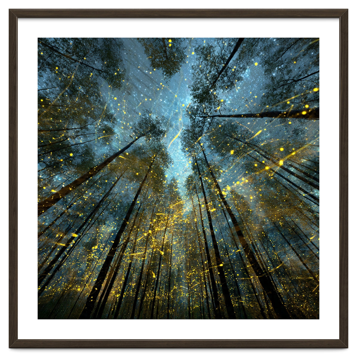 Enchanted Night Forest with Glowing Fireflies
