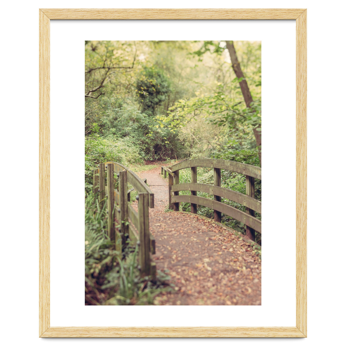 Path To The Bridge