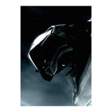 Halo (Print Only) thumbnail