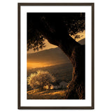 The Hill thumbnail