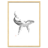Whale thumbnail