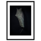 Leaves No 3 Color Version thumbnail