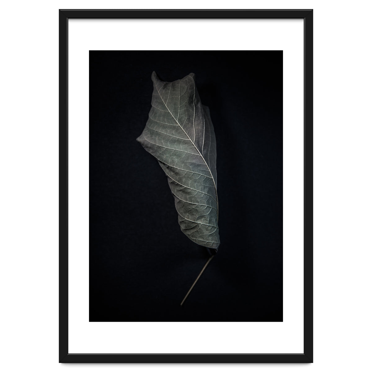 Leaves No 3 Color Version