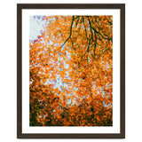 Autumn Leaves thumbnail