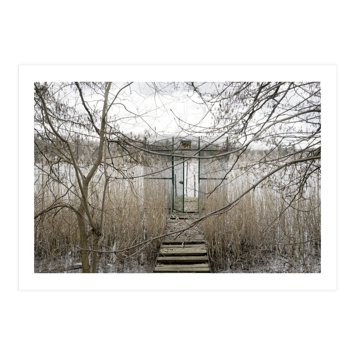 The gate to the lake (Print Only)