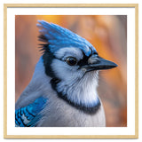 Blue Jay Bird Close Up Detailed Portrait thumbnail