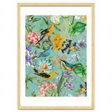 Birds In Tropical Jungle thumbnail