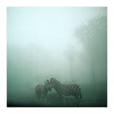 Silence of breath - 11 (Print Only) thumbnail