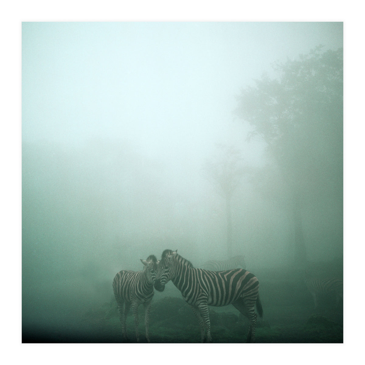 Silence of breath - 11 (Print Only)