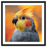 Cockatiel Parrot Close Up thumbnail