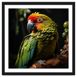 Vibrant Macaw Parrot thumbnail