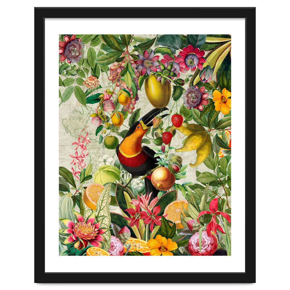 Toucan vintage jungle 1