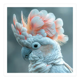 Close Up Of A White Cockatoo With Pink Crest (Print Only) thumbnail