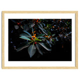 Orange, Green and Dark thumbnail