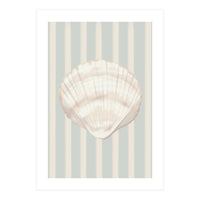 Sea shell (Print Only)
