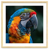Close Up Of A Colorful Macaw Parrot thumbnail