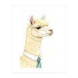 Alpaca  (Print Only) thumbnail