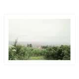Red Roof house in between the summer green field - Iceland (Print Only) thumbnail