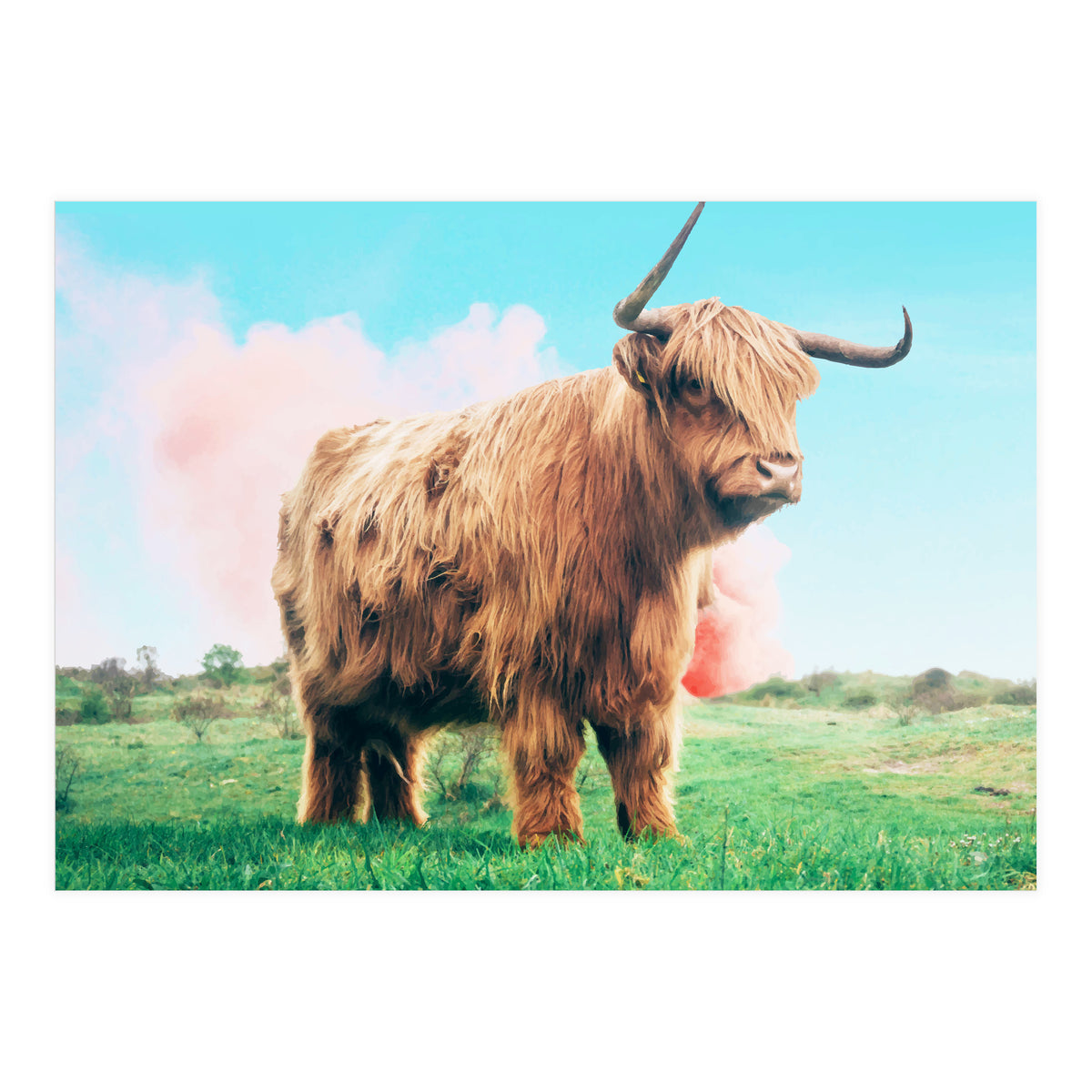 Highland Cow #society6 #decor #buyart (Print Only)