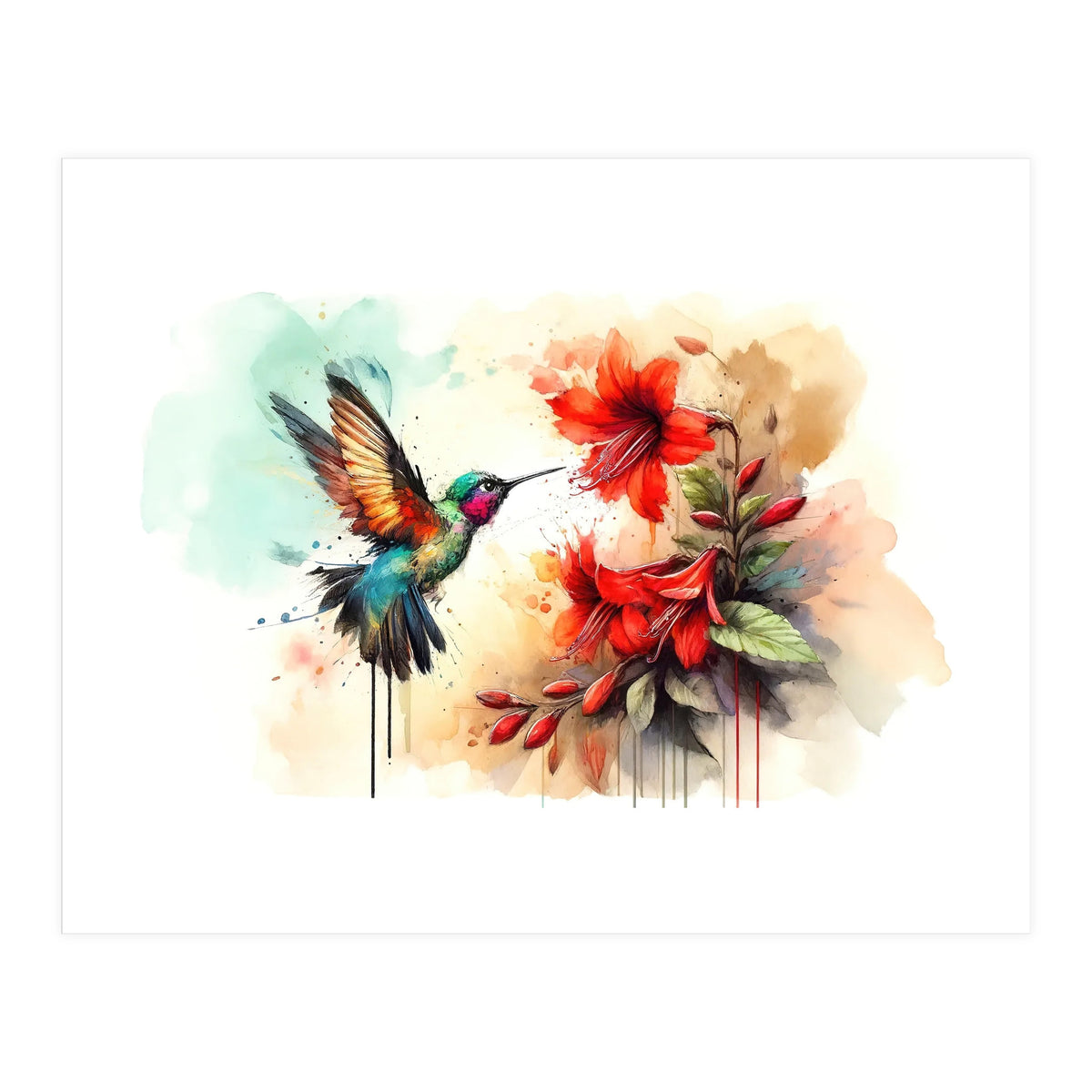 Dance Of Hummingbird And Crimson Flowers (Print Only)