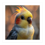 Cockatiel Parrot Portrait With Orange Cheeks (Print Only) thumbnail