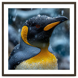 King Penguin Close Up In The Rain thumbnail