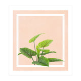 Botanical Art (Print Only) thumbnail