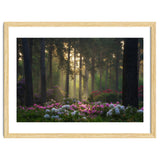 Rhododendron forest thumbnail