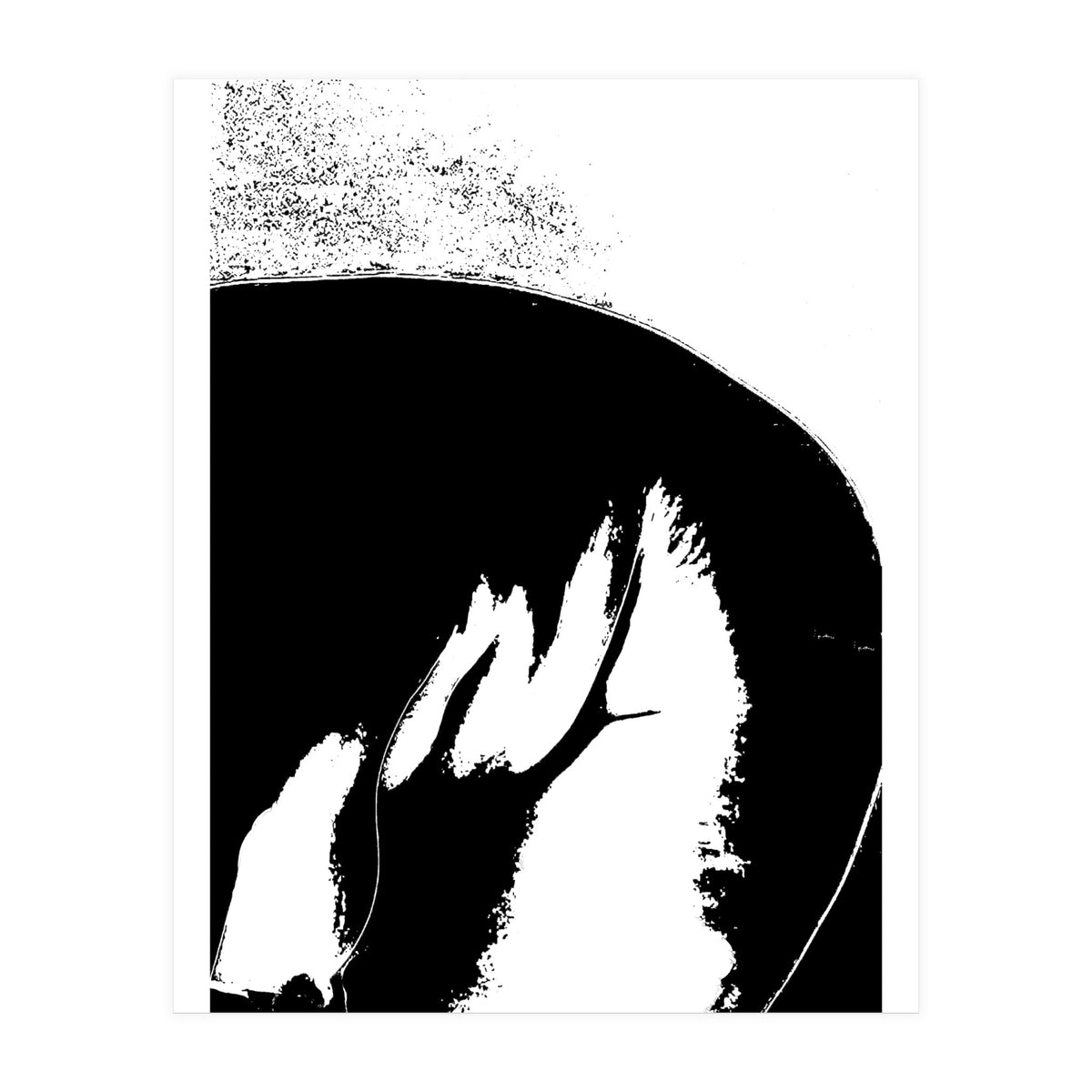 Black & White Study III (Print Only)