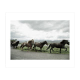 Running horses - Iceland (Print Only) thumbnail