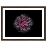 Backyard Flowers No 116 Color Version thumbnail