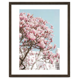 Spring Time thumbnail