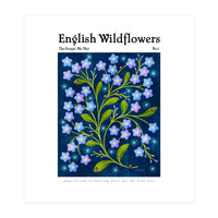English Wildflowers | Forget-Me-Not (Print Only)