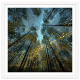 Enchanted Night Forest with Glowing Fireflies thumbnail