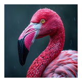 Close Up Pink Flamingo In Rain Drops (Print Only) thumbnail