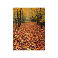 Ethereal Autumn Forest Path (Print Only)