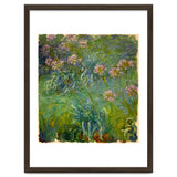 Claude Monet (1840-1926). Agapanthus. thumbnail