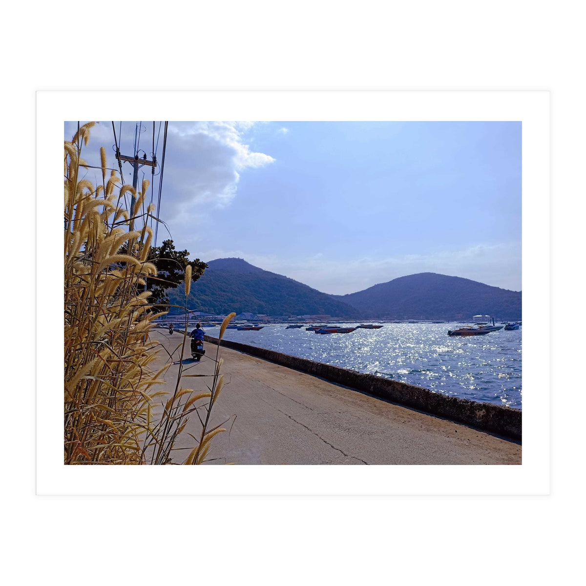 Motorcycle Diaries (Print Only)