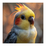 Cockatiel Parrot Portrait With Orange Cheeks (Print Only) thumbnail