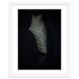 Leaves No 3 Color Version thumbnail