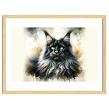 Majestic Long Haired Cat Portrait thumbnail