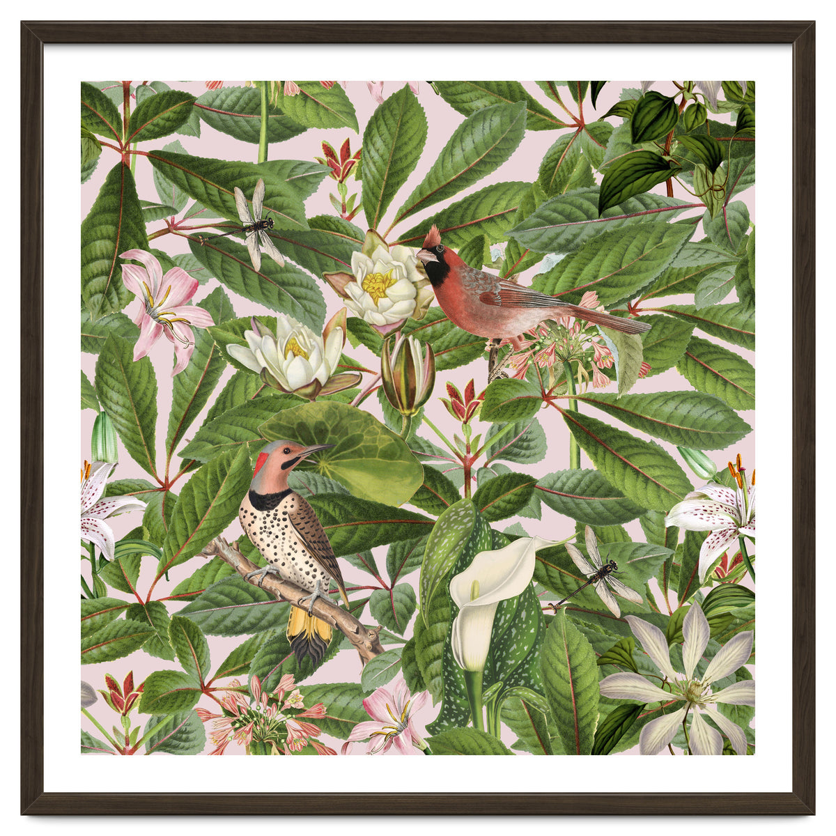 Tropical Bird Garden