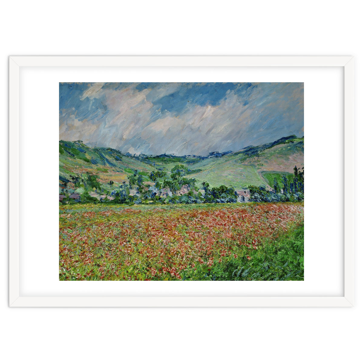 A field of poppies. Canvas.