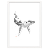Whale thumbnail