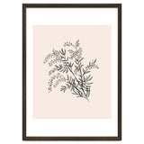Acacia Botanical illustration thumbnail
