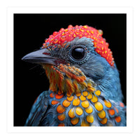 Close Up Of Colorful Bird With Water Droplets (Print Only)