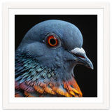 Close Up Of A Pigeon Bird thumbnail