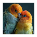 Lovebirds Couple Nuzzling With Orange And Yellow Feathers (Print Only) thumbnail